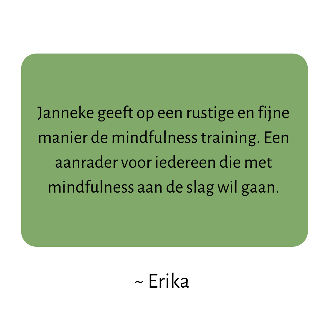 Kopie van Kopie van Wat is het belang van aanwezig zijn in het huidige moment
